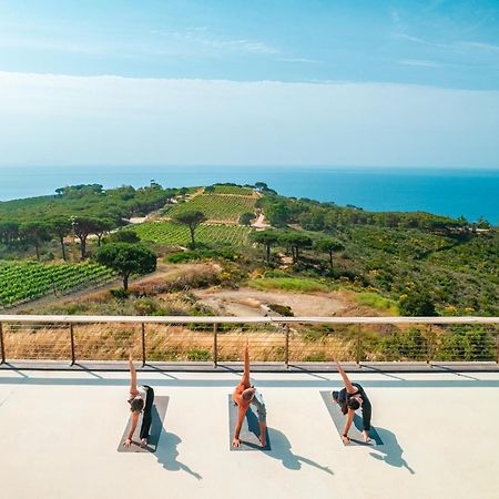 Tenuta Delle Ripalte Каполивери Екстериор снимка