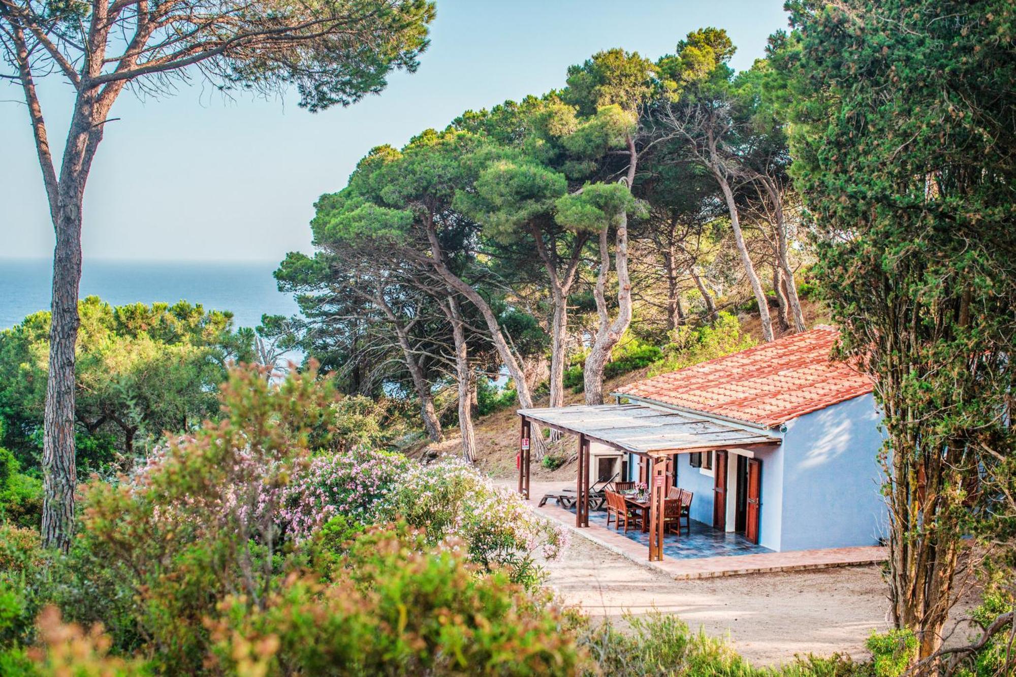 Tenuta Delle Ripalte Каполивери Екстериор снимка