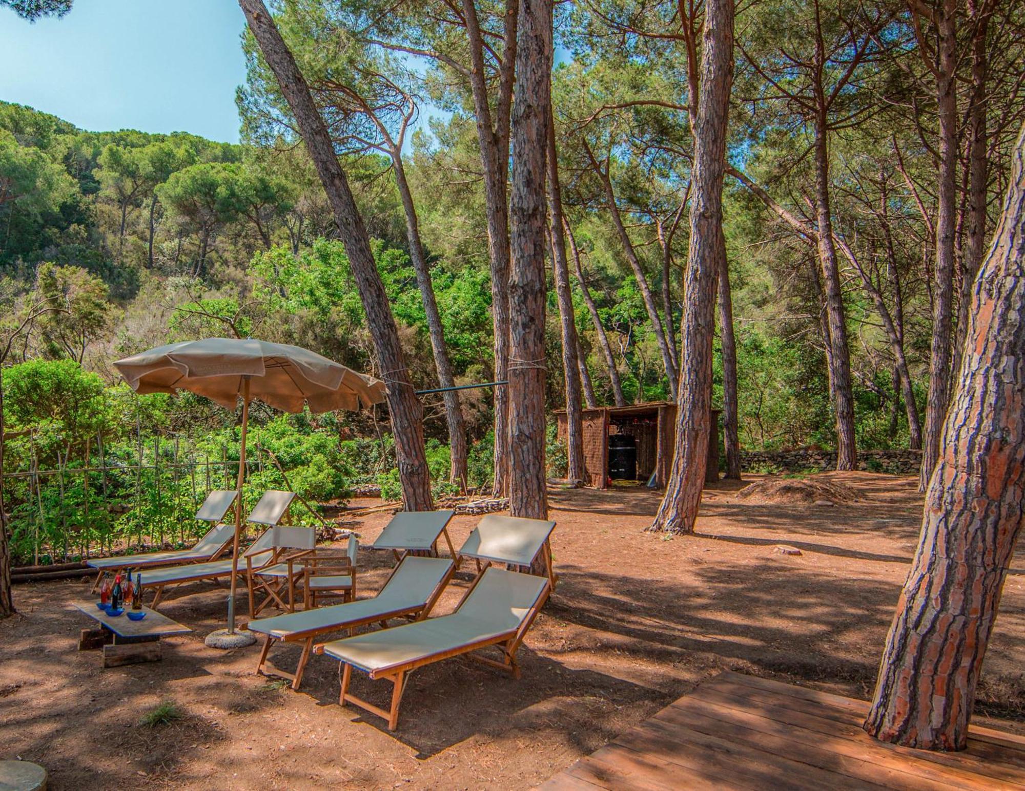 Tenuta Delle Ripalte Каполивери Екстериор снимка