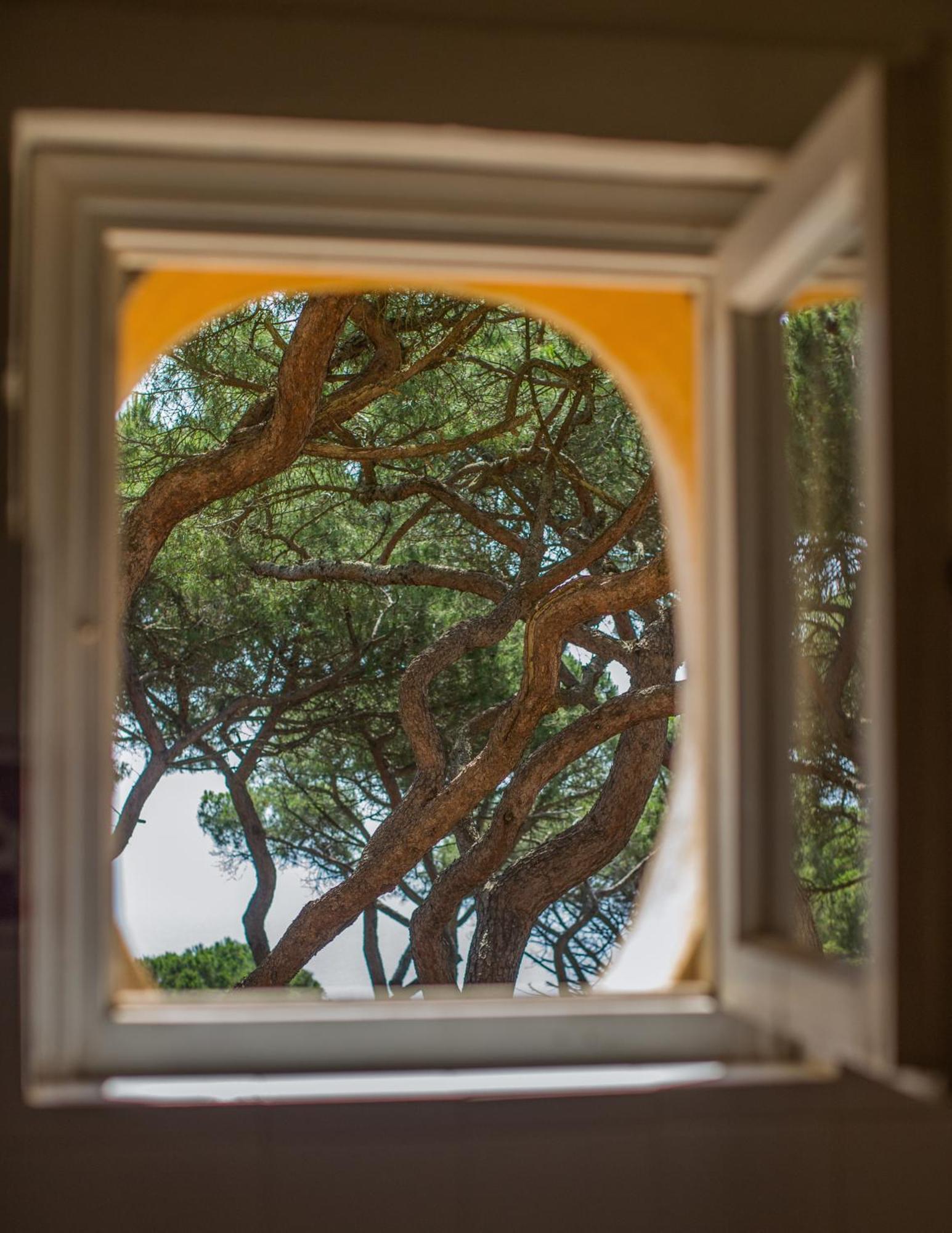 Tenuta Delle Ripalte Каполивери Екстериор снимка